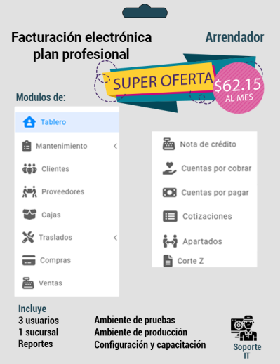 PLAN PROFESIONAL